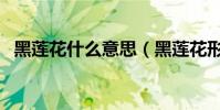 黑蓮花什么意思(黑蓮花形容什么樣的人)
