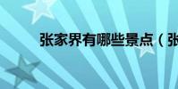 張家界有哪些景點(張家界簡介)