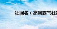 狂網名(高調霸氣狂妄的網名)