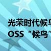 光榮時代候鳥是誰（《光榮時代》終極幕后BOSS“候鳥”是誰）