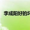 李成陽好的壞的（掃黑風暴李成陽是好人）