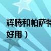 輝騰和帕薩特的區別（輝騰和帕薩特哪款車更好用）