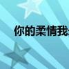你的柔情我永遠不懂歌詞（完整版歌詞）