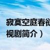 寂寞空庭春欲晚劇情介紹（寂寞空庭春欲晚電視劇簡介）