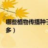 哪些植物傳播種子的方法二年級（植物傳播種子的方法有很多）