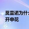 莫雷諾為什么一直在申花 阿內爾卡為什么離開申花 