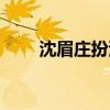 沈眉莊扮演者（沈眉莊是誰扮演的）