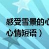 感受雪景的心情短語（朋友圈里關于雪的說說心情短語）