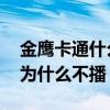 金鷹卡通什么時候晚上才播熊出沒 金鷹卡通為什么不播 