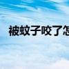 被蚊子咬了怎么止癢消腫（如何快速止癢）