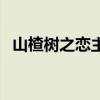 山楂樹之戀主題曲（該片講述了什么故事）
