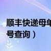 順豐快遞母單號是物流單號嗎（順豐快遞母單號查詢）