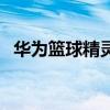 華為籃球精靈有什么功能（華為籃球精靈）