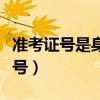 準考證號是身份證號嗎（用身份證號查準考證號）