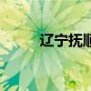 遼寧撫順大蛇事件（是真實的嗎）