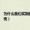 為什么我們買到的腰果一般都是沒有殼的（為什么腰果不帶殼）