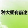 種大棚有前途嗎（農村種大棚蔬菜有前途嗎）