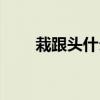 栽跟頭什么意思（栽跟頭什么意思）