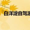 白洋淀自駕游攻略（這個攻略有必要看下）