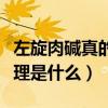 左旋肉堿真的可以減肥嗎（左旋肉堿減肥的原理是什么）