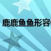 鹿鹿魚魚形容什么（鹿鹿魚魚是什么意思呢）