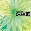 深秋的詩句（深秋的詩句大全）