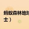 螞蟻森林地球衛士怎么獲得（螞蟻森林地球衛士）