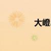 大嶝島景點（大嶝島攻略）