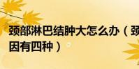 頸部淋巴結腫大怎么辦(頸部淋巴結腫大的原因有四種)