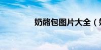 奶酪包圖片大全(奶酪包)
