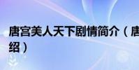 唐宮美人天下劇情簡介(唐宮美人天下劇情介紹)
