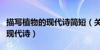 描寫植物的現代詩簡短(關于描寫植物的簡短現代詩)