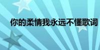 你的柔情我永遠不懂歌詞(完整版歌詞)