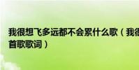 我很想飛多遠都不會累什么歌(我很想飛多遠都不會累是哪首歌歌詞)