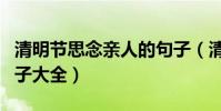 清明節思念親人的句子(清明節思念親人的句子大全)