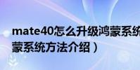 mate40怎么升級鴻蒙系統(mate40升級鴻蒙系統方法介紹)