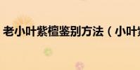 老小葉紫檀鑒別方法(小葉紫檀的鑒別方法)