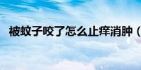 被蚊子咬了怎么止癢消腫(如何快速止癢)