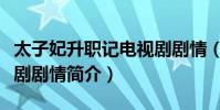 太子妃升職記電視劇劇情(太子妃升職記電視劇劇情簡介)