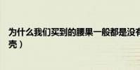 為什么我們買到的腰果一般都是沒有殼的(為什么腰果不帶殼)