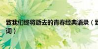 致我們終將逝去的青春經典語錄(致我們終將逝去的青春臺詞)