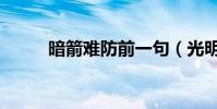 暗箭難防前一句(光明磊落做事)