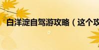 白洋淀自駕游攻略(這個攻略有必要看下)
