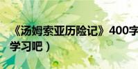 《湯姆索亞歷險記》400字梗概(大家一起來學習吧)