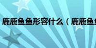 鹿鹿魚魚形容什么(鹿鹿魚魚是什么意思呢)