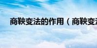 商鞅變法的作用(商鞅變法的有什么用)