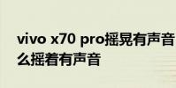 vivo x70 pro搖晃有聲音 vivox70pro為什么搖著有聲音