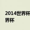 2014世界杯 迭戈 弗蘭為什么沒參加2014世界杯 
