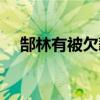 郜林有被欠薪嗎 郜林在恒大為什么替補 