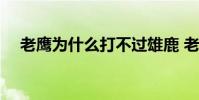 老鷹為什么打不過雄鹿 老鷹為什么擺爛